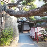 「末広の松」と神社の写真