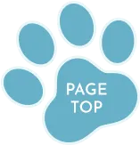 PAGE TOP と書かれた猫の足跡のボタン